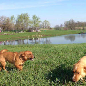 Meet your Posher, Kyle